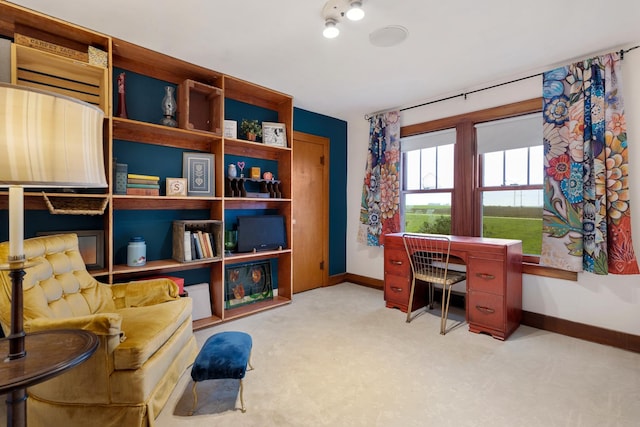 13459 N Tower Rd N, Lee, IL 60530 - carpeted office featuring baseboards