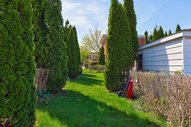 479 Oak St, Des Plaines, IL 60016 - view of yard
