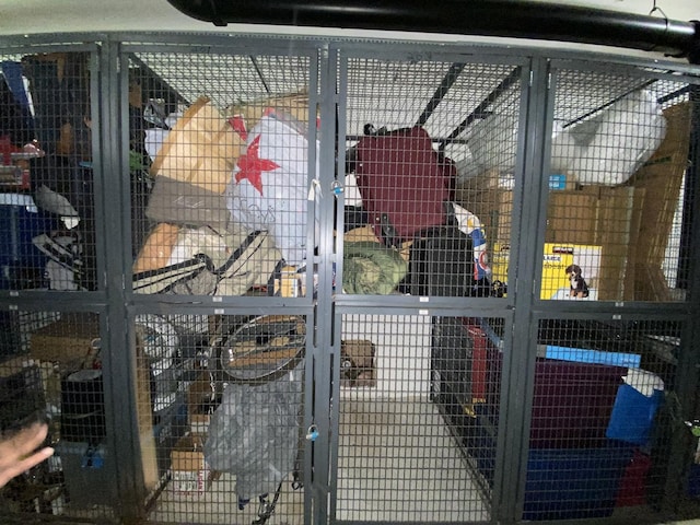 1250 W Van Buren St Unit 203, Chicago, IL 60607 - view of storage area