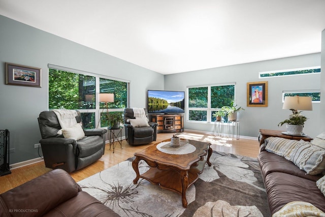 living room with baseboards, wood finished floors, and a wealth of natural light