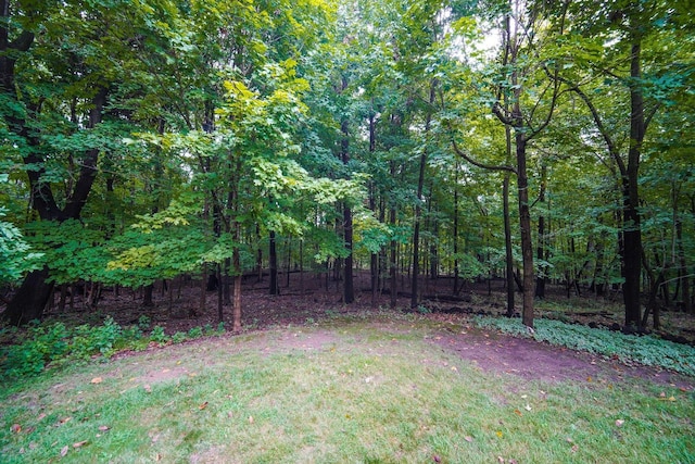 view of yard with a forest view
