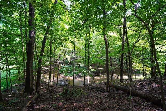 view of local wilderness