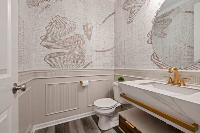 bathroom with wood finished floors, toilet, wainscoting, a decorative wall, and vanity