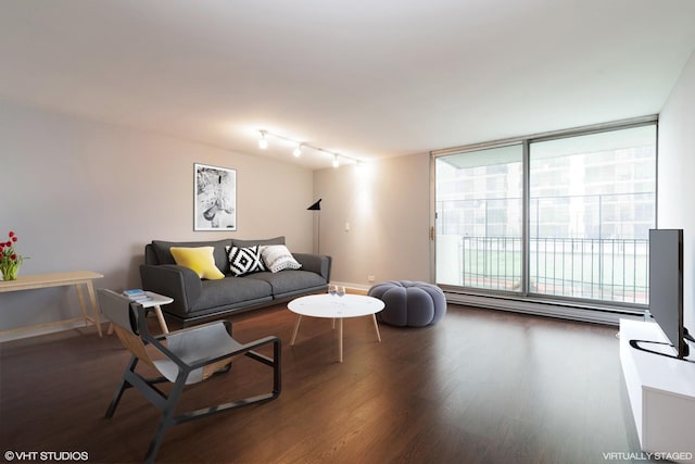 living room with baseboards, wood finished floors, and track lighting