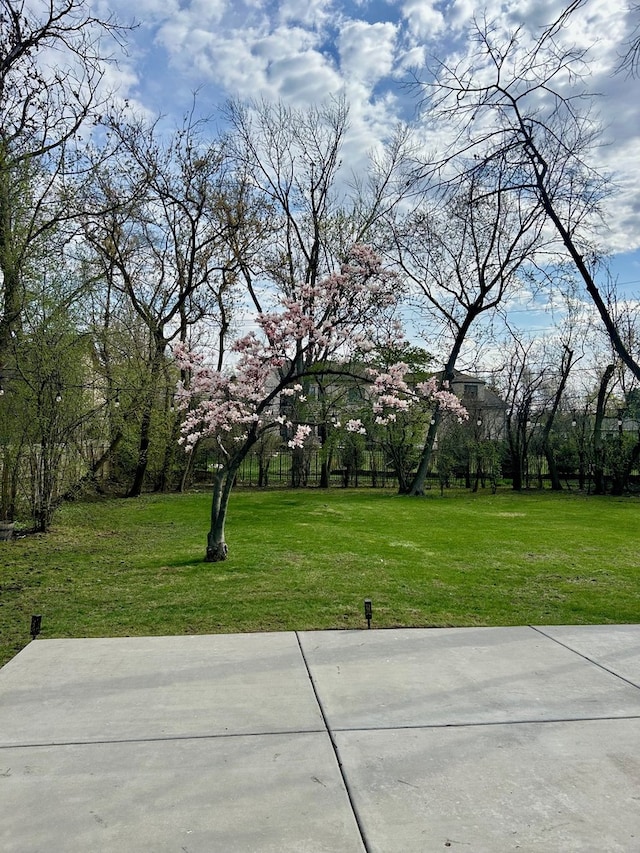view of yard featuring a patio area