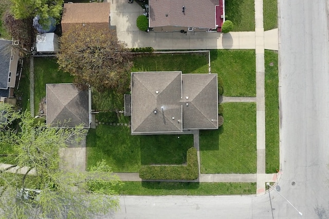 bird's eye view