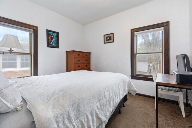 420 N Hebbard St, Joliet, IL 60432 - carpeted bedroom with baseboards