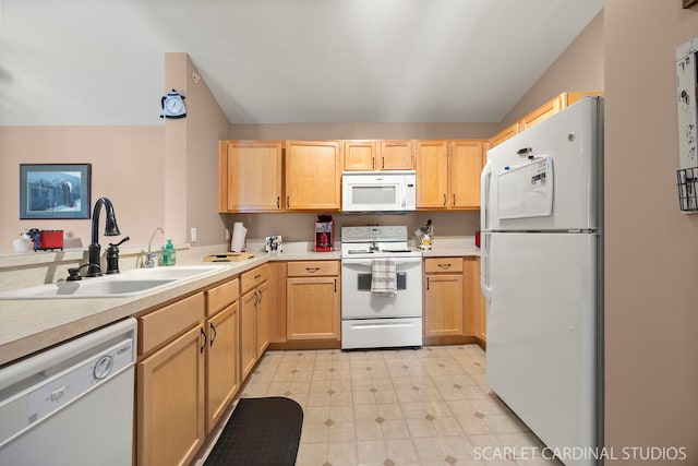 kitchen featuring a sink, light countertops, light brown cabinetry, and white appliances