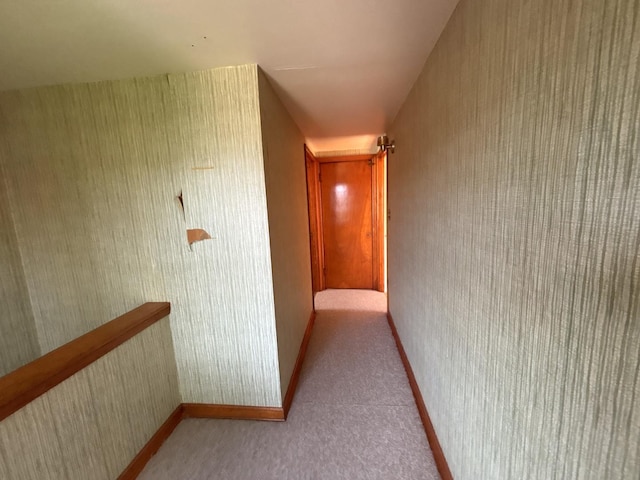5404 Kimball Pl, Oak Lawn, IL 60453 - hallway with baseboards and carpet flooring
