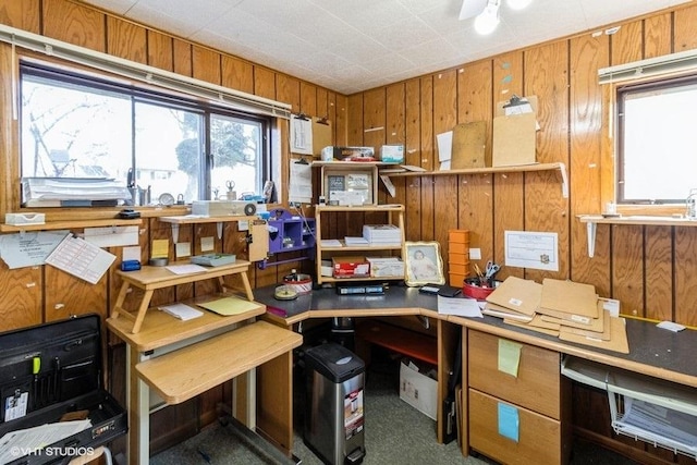 565 Flagstaff Ln, Hoffman Estates, IL 60169 - view of storage area