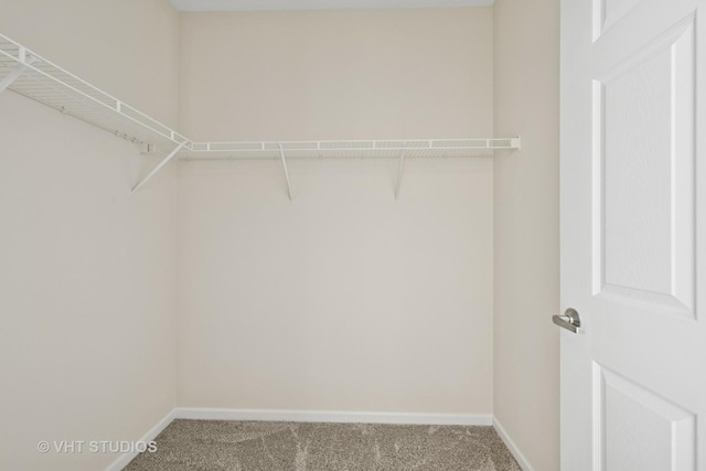 3501 Wellington Ct Unit 410, Rolling Meadows, IL 60008 - spacious closet with carpet floors
