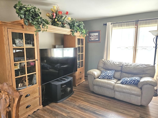 living room featuring dark wood-type flooring