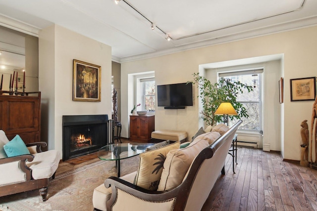 1400 N La Salle St Unit 3N, Chicago, IL 60610 - living room featuring rail lighting, a lit fireplace, wood-type flooring, and ornamental molding