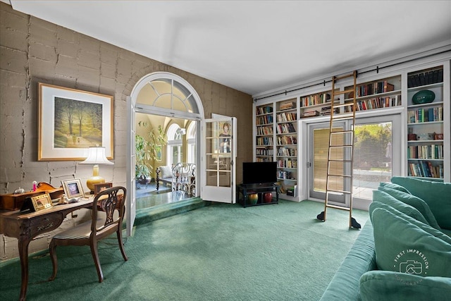 living area with carpet and built in features