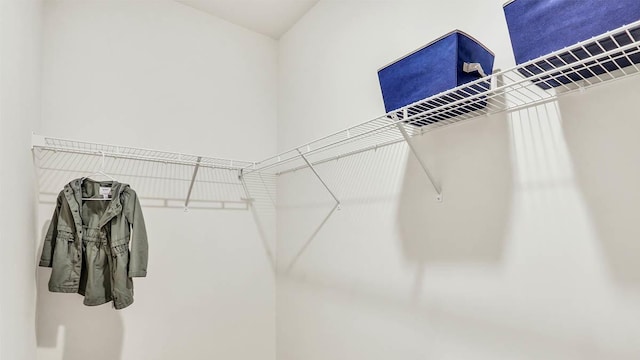 260 Snowdrop Ln, Elgin, IL 60124 - view of spacious closet