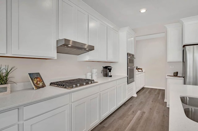 260 Snowdrop Ln, Elgin, IL 60124 - kitchen featuring ventilation hood, white cabinets, light wood-style floors, and appliances with stainless steel finishes