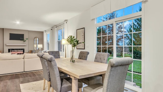 260 Snowdrop Ln, Elgin, IL 60124 - dining room featuring a healthy amount of sunlight, a glass covered fireplace, and wood finished floors
