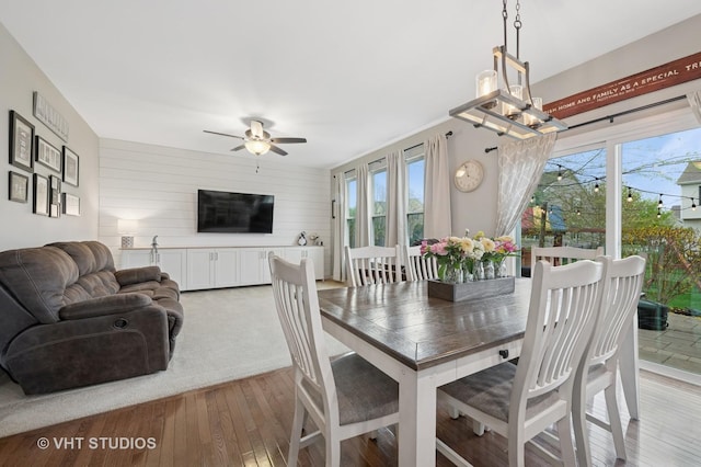 dining room with wood walls, a wealth of natural light, ceiling fan with notable chandelier, and light wood-style floors