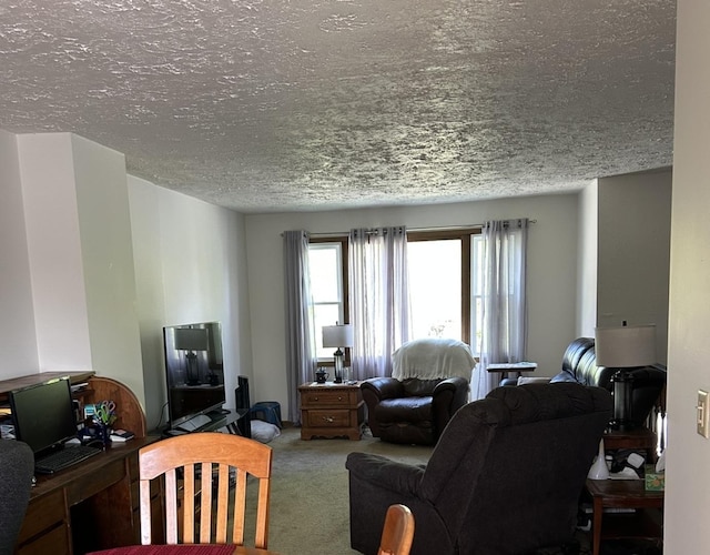 carpeted living room featuring a textured ceiling