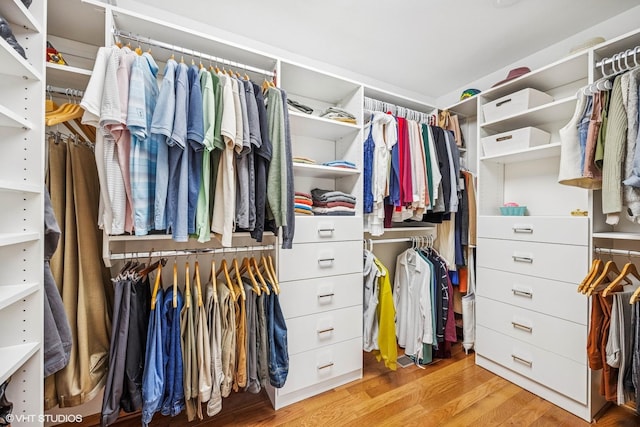 28139 W Okelly Dr, Ingleside, IL 60041 - spacious closet with light wood finished floors