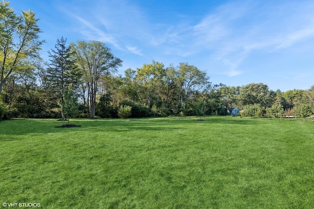 28139 W Okelly Dr, Ingleside, IL 60041 - view of yard