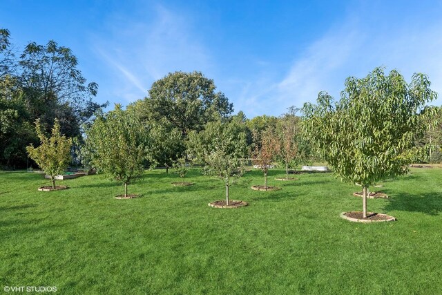 28139 W Okelly Dr, Ingleside, IL 60041 - surrounding community featuring a lawn