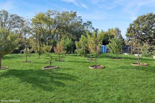 28139 W Okelly Dr, Ingleside, IL 60041 - surrounding community with a lawn, a shed, and an outbuilding