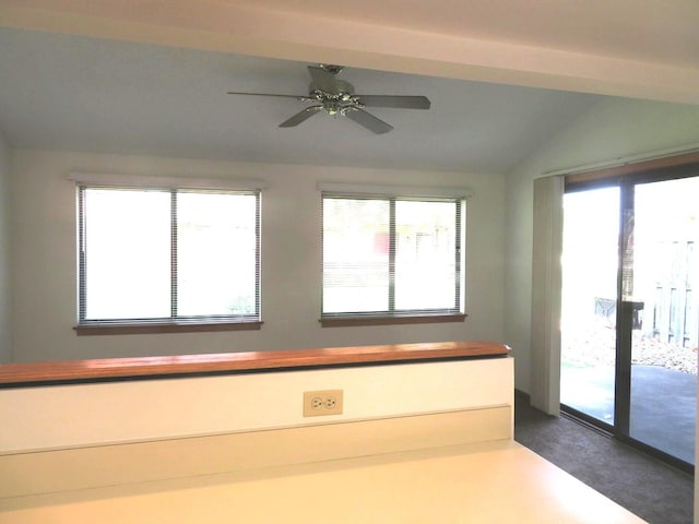 1321 Dresden Dr Unit C, Morris, IL 60450 - unfurnished room with plenty of natural light, dark carpet, vaulted ceiling, and ceiling fan