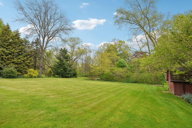 38413 N Tewes Ct, Beach Park, IL 60087 - view of grassy yard