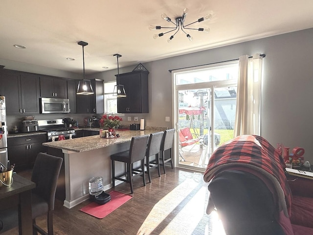 10817 Quail Xing, Richmond, IL 60071 - kitchen featuring dark wood-style flooring, a peninsula, stainless steel appliances, and a healthy amount of sunlight