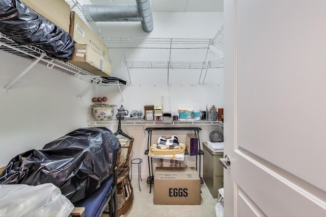 170 N NW Hwy Unit 410, Park Ridge, IL 60068 - view of storage