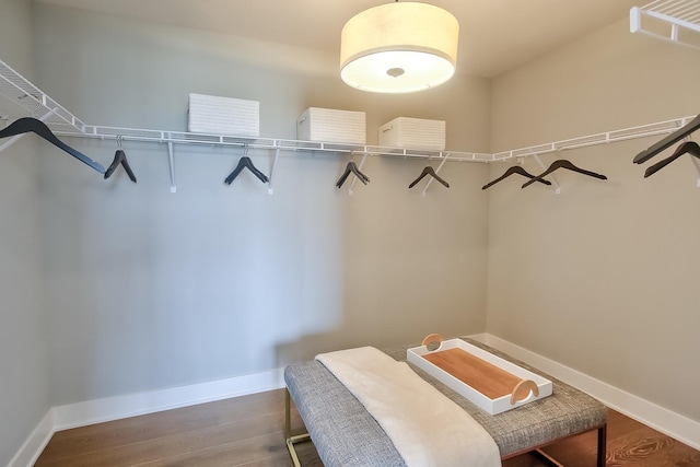 spacious closet featuring wood finished floors