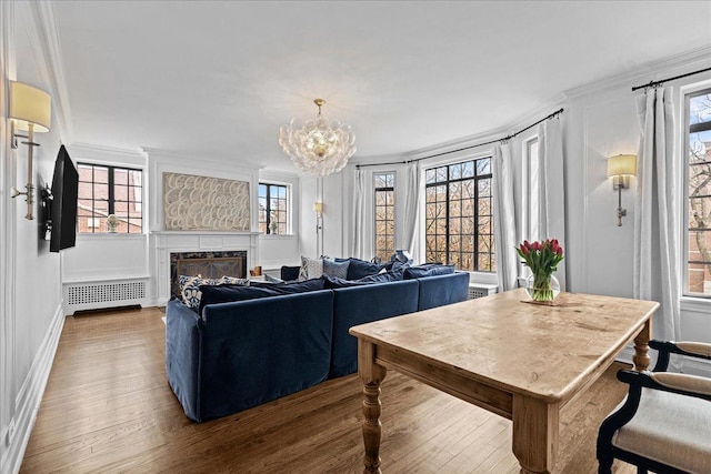 1316 Maple Ave Unit B2, Evanston, IL 60201 - living area featuring a fireplace, radiator heating unit, wood finished floors, and a chandelier