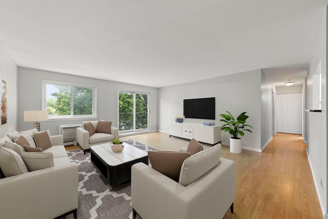 1056 N Mill St Unit 306, Naperville, IL 60563 - living room with light wood-style floors and a baseboard heating unit