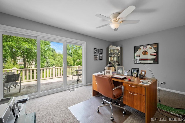 113 Whittington Crse, Saint Charles, IL 60174 - photo 23