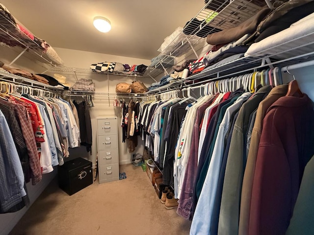 17N975 Harmony Rd, Hampshire, IL 60140 - walk in closet with carpet floors