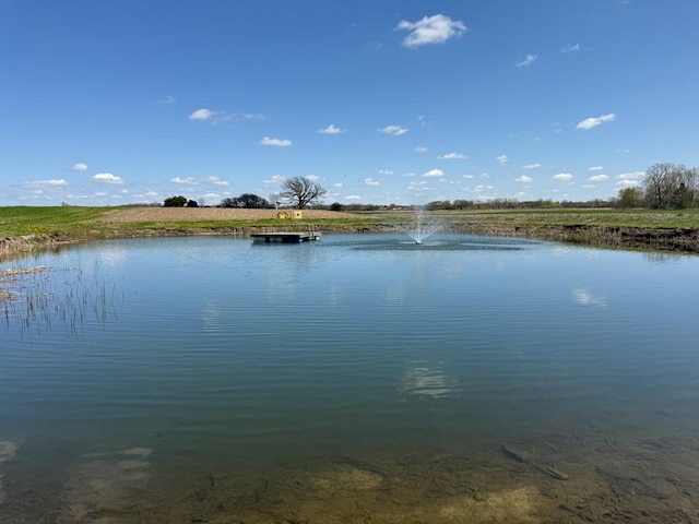 17N975 Harmony Rd, Hampshire, IL 60140 - view of water feature