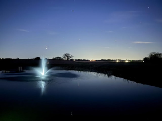 17N975 Harmony Rd, Hampshire, IL 60140 - view of water feature