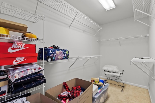 spacious closet with carpet