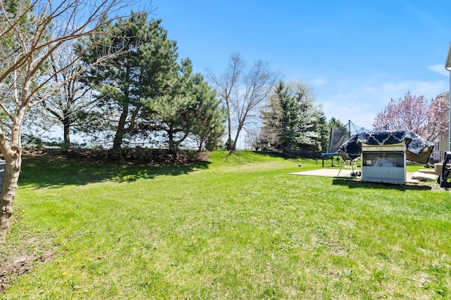 view of yard with a patio