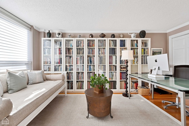 office with ornamental molding and a textured ceiling