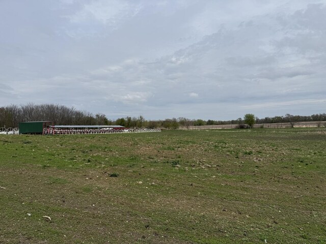 view of yard with exterior structure and an outdoor structure