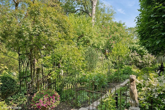475 Maple St, Winnetka, IL 60093 - view of nature