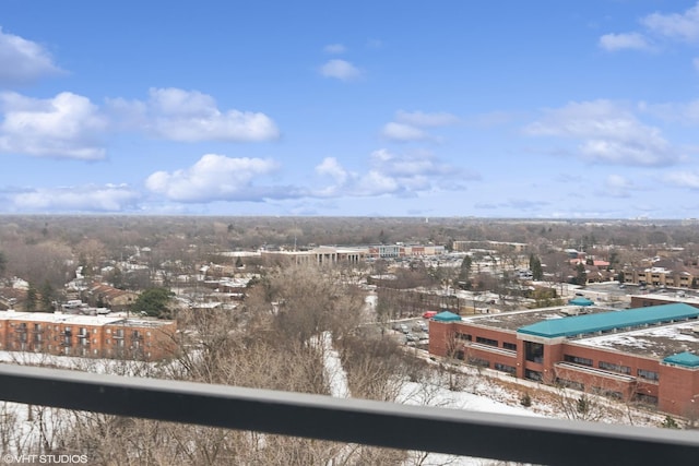 1 Renaissance Pl Unit 1Ph, Palatine, IL 60067 - view of city