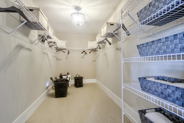 4 Olympia Fields Ct, Hawthorn Woods, IL 60047 - walk in closet with carpet floors