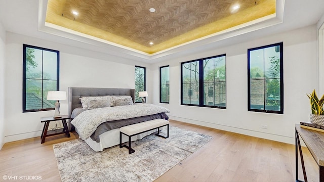 bedroom featuring multiple windows and a raised ceiling