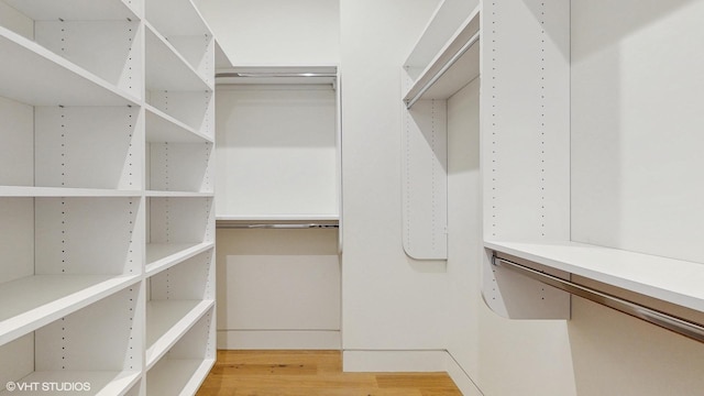 walk in closet with light wood finished floors