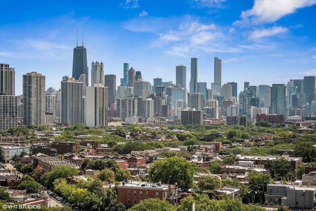 540 W Webster Ave Unit 403, Chicago, IL 60614 - view of city