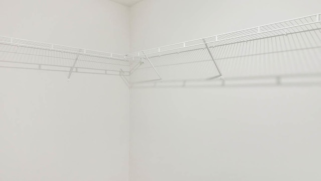 9968 Central Park Blvd, Huntley, IL 60142 - view of spacious closet