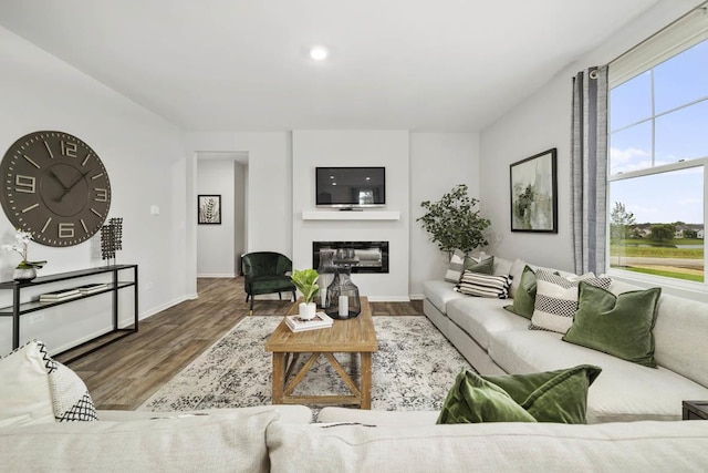 9968 Central Park Blvd, Huntley, IL 60142 - living room featuring wood finished floors, a glass covered fireplace, baseboards, and recessed lighting